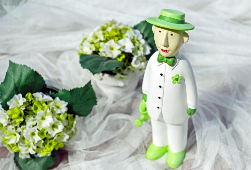 vitrine-ROURE-min_man-person-flower-green-toy-fig-546529-pxhere.com